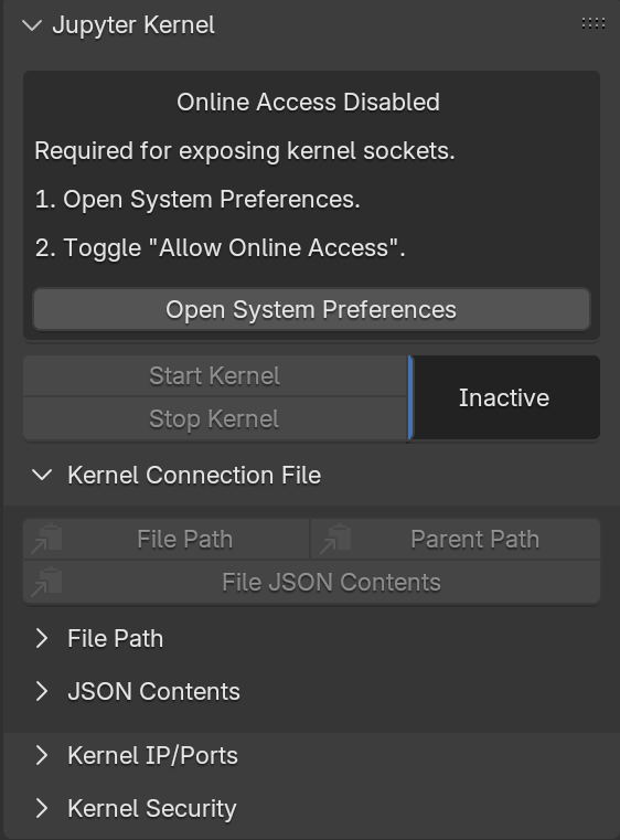 image of default Jupyter kernel panel